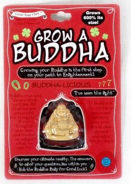 Grow A Buddha